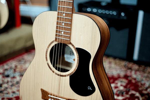 Guitars
