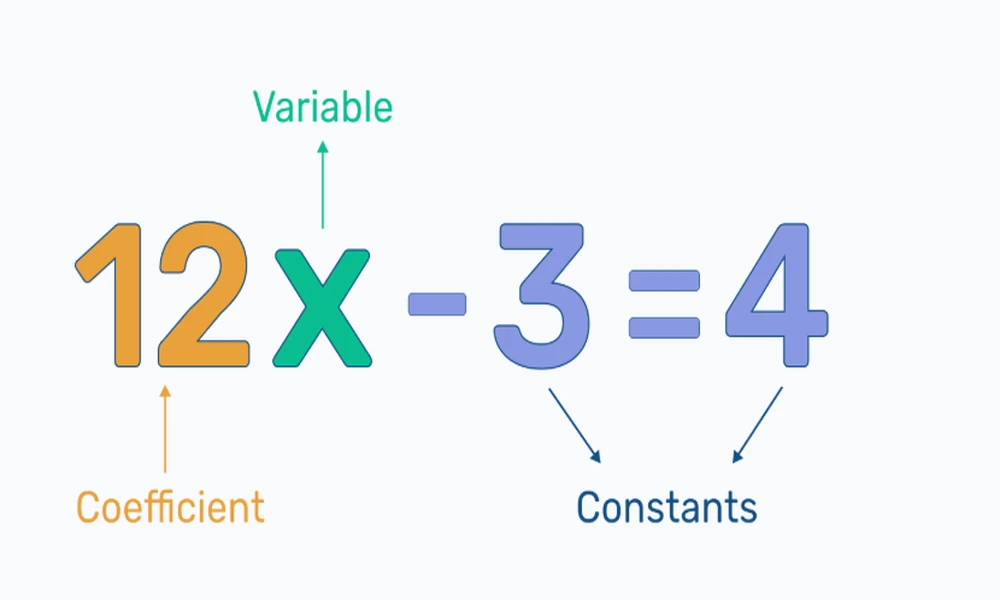 Understanding Constants in Math With Simple Examples